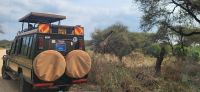 484 Safari Tsavo West &ndash; &copy; Susanne Schirmann (Eberhardt TRAVEL)