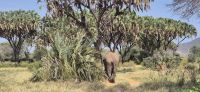 37 in guter Gesellschaft &ndash; &copy; Susanne Schirmann (Eberhardt TRAVEL)