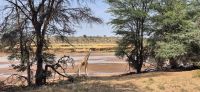 38 Morgensafari &ndash; &copy; Susanne Schirmann (Eberhardt TRAVEL)