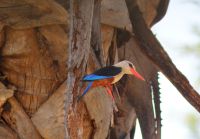 88 List &ndash; &copy; Susanne Schirmann (Eberhardt TRAVEL)