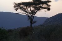 115 Samburu &ndash; &copy; Susanne Schirmann (Eberhardt TRAVEL)