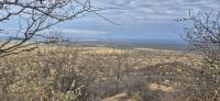 261 Blick vom Poachers Lookout &ndash; &copy; Susanne Schirmann (Eberhardt TRAVEL)