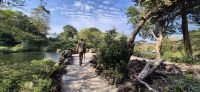 300 walking Safari &ndash; &copy; Susanne Schirmann (Eberhardt TRAVEL)
