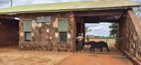 306 Ausfahrt Tsavo West &ndash; &copy; Susanne Schirmann (Eberhardt TRAVEL)