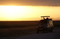 21 Safari in Kenia