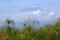 42 Kili &ndash; &copy; Susanne Schirmann (Eberhardt TRAVEL)