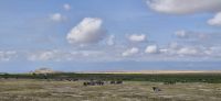 54 Blick auf Kilimandscharo &ndash; &copy; Susanne Schirmann (Eberhardt TRAVEL)