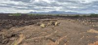 74 Shentani Lavafeld &ndash; &copy; Susanne Schirmann (Eberhardt TRAVEL)