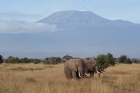 78 perfektes Timing &ndash; &copy; Susanne Schirmann (Eberhardt TRAVEL)