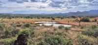82 Ausblick der Kilaguni Serena Safari Lodge &ndash; &copy; Susanne Schirmann (Eberhardt TRAVEL)