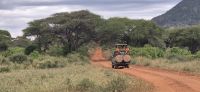 88 allein auf weiter Flur &ndash; &copy; Susanne Schirmann (Eberhardt TRAVEL)