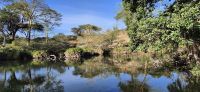 94 Wasser der Mzima Quelle &ndash; &copy; Susanne Schirmann (Eberhardt TRAVEL)