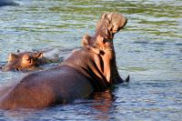 95 vorher &ndash; &copy; Susanne Schirmann (Eberhardt TRAVEL)