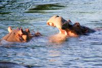 98 wollen wir spielen &ndash; &copy; Susanne Schirmann (Eberhardt TRAVEL)