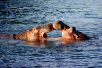 99 ok &ndash; &copy; Susanne Schirmann (Eberhardt TRAVEL)