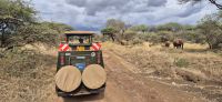 122 Fahrt durch Tsavo &ndash; &copy; Susanne Schirmann (Eberhardt TRAVEL)