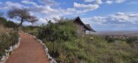 129 Soroi Cheetah tented Camp &ndash; &copy; Susanne Schirmann (Eberhardt TRAVEL)