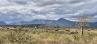 131 Taita Hills &ndash; &copy; Susanne Schirmann (Eberhardt TRAVEL)