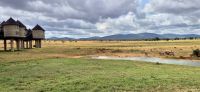 185 Saltlick Lodge &ndash; &copy; Susanne Schirmann (Eberhardt TRAVEL)