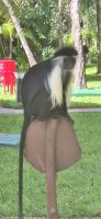 221 Colobus Affe &ndash; &copy; Susanne Schirmann (Eberhardt TRAVEL)