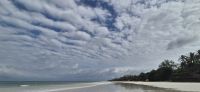 235 Diani Beach &ndash; &copy; Susanne Schirmann (Eberhardt TRAVEL)