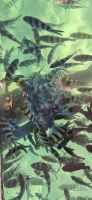 243 herrliche Zebrafische unter uns &ndash; &copy; Susanne Schirmann (Eberhardt TRAVEL)