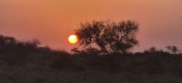 33 Sonnenaufgang in Samburu &ndash; &copy; Susanne Schirmann (Eberhardt TRAVEL)