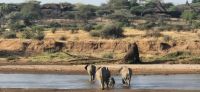 38 morgendliche Begegnung &ndash; &copy; Susanne Schirmann (Eberhardt TRAVEL)