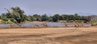 49 besondere Begegnung am Fluss &ndash; &copy; Susanne Schirmann (Eberhardt TRAVEL)