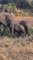 61 herrliche Begegnung &ndash; &copy; Susanne Schirmann (Eberhardt TRAVEL)
