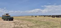 164 unser Jeep im Ol Pejeta Schutzgebiet &ndash; &copy; Susanne Schirmann (Eberhardt TRAVEL)