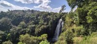 173 Thomson Falls 74 m hoch &ndash; &copy; Susanne Schirmann (Eberhardt TRAVEL)