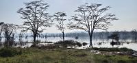 195 Morgenstimmung am Lake Nakuru &ndash; &copy; Susanne Schirmann (Eberhardt TRAVEL)