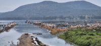 197 Lake Nakuru &ndash; &copy; Susanne Schirmann (Eberhardt TRAVEL)