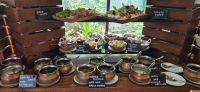 223 Mittagessen im Karen Blixen Coffee Garden &ndash; &copy; Susanne Schirmann (Eberhardt TRAVEL)