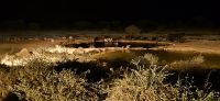 228 Abendessen mit Blick aufs Wasserloch &ndash; &copy; Susanne Schirmann (Eberhardt TRAVEL)