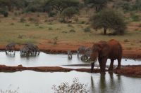 254 leben und leben lassen &ndash; &copy; Susanne Schirmann (Eberhardt TRAVEL)