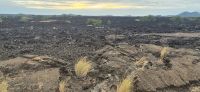 261 Lavafeld &ndash; &copy; Susanne Schirmann (Eberhardt TRAVEL)