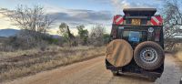 266 Morgensafari &ndash; &copy; Susanne Schirmann (Eberhardt TRAVEL)