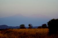 273 Blick auf Kilimandscharo &ndash; &copy; Susanne Schirmann (Eberhardt TRAVEL)