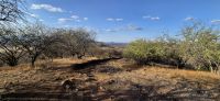 290 Poachers Lookout &ndash; &copy; Susanne Schirmann (Eberhardt TRAVEL)