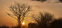 292 Sonnenuntergang Tsavo West &ndash; &copy; Susanne Schirmann (Eberhardt TRAVEL)