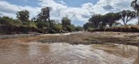 300 Finch Hatton Fluss &ndash; &copy; Susanne Schirmann (Eberhardt TRAVEL)