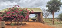 304 Maktau Gate Tsavo West &ndash; &copy; Susanne Schirmann (Eberhardt TRAVEL)