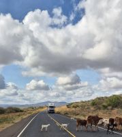 358 Auf nach Nairobi &ndash; &copy; Susanne Schirmann (Eberhardt TRAVEL)