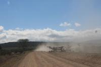 Masai Mara - Straße &ndash; &copy; Isabel Braksiek (Eberhardt TRAVEL)