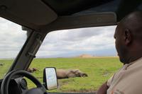 Amboseli Nationalpark &ndash; &copy; Isabel Braksiek (Eberhardt TRAVEL)