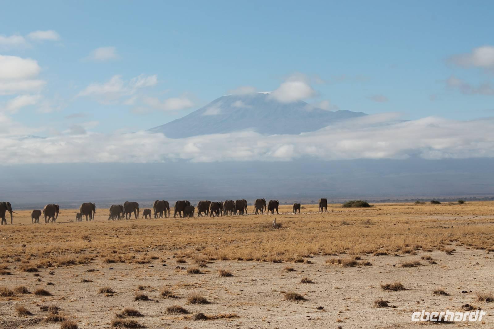 Amboseli Nationalpark &ndash; &copy; Vicky Kern (Eberhardt TRAVEL)