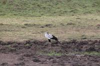 Sekretär &ndash; &copy; Vicky Kern (Eberhardt TRAVEL)