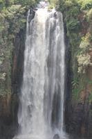 Thompson Wasserfall &ndash; &copy; Vicky Kern (Eberhardt TRAVEL)